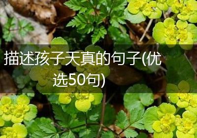 描述孩子天真的句子(优选50句)