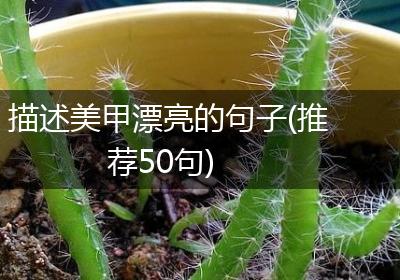 描述美甲漂亮的句子(推荐50句)