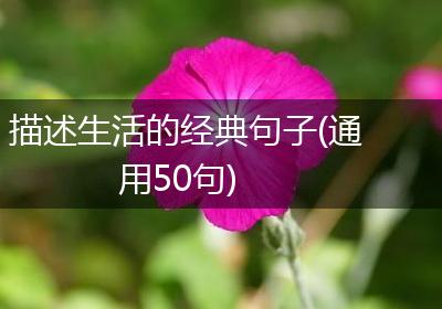 描述生活的经典句子(通用50句)