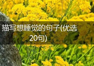 描写想睡觉的句子(优选20句)