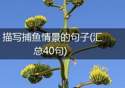 描写捕鱼情景的句子(汇总40句)