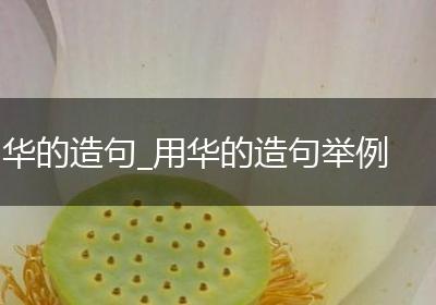 华的造句_用华的造句举例