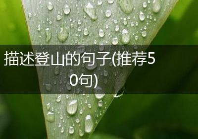 描述登山的句子(推荐50句)