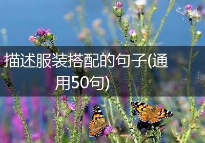 描述服装搭配的句子(通用50句)