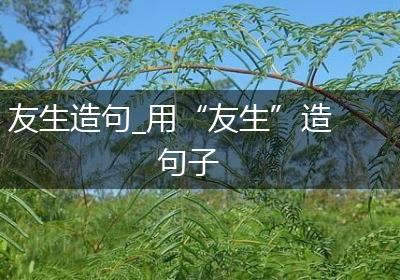 友生造句_用“友生”造句子