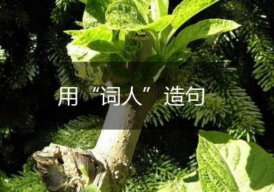 用“词人”造句