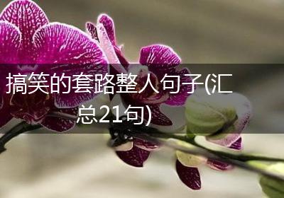搞笑的套路整人句子(汇总21句)