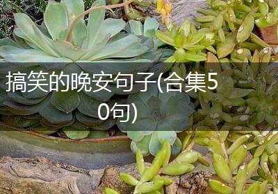 搞笑的晚安句子(合集50句)