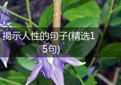 揭示人性的句子(精选15句)