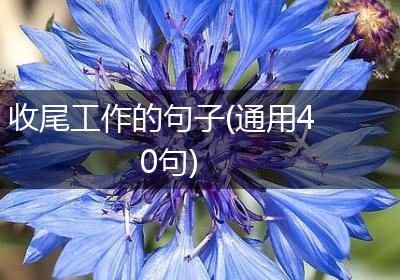 收尾工作的句子(通用40句)