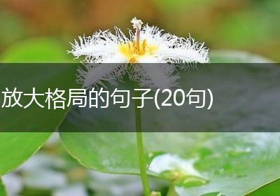 放大格局的句子(20句)