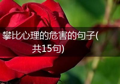 攀比心理的危害的句子(共15句)