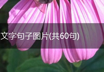 文字句子图片(共60句)