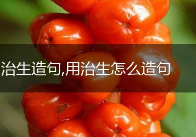 治生造句,用治生怎么造句