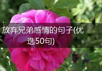 放弃兄弟感情的句子(优选50句)