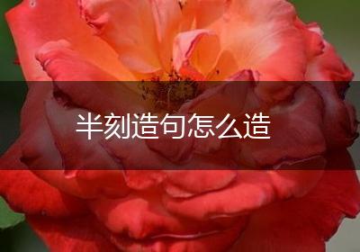 半刻造句怎么造