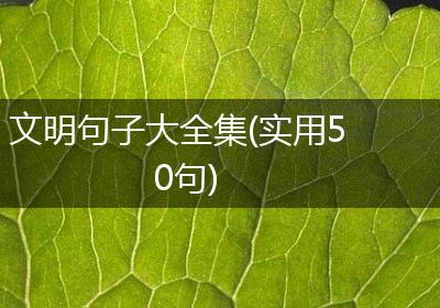 文明句子大全集(实用50句)
