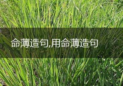 命薄造句,用命薄造句