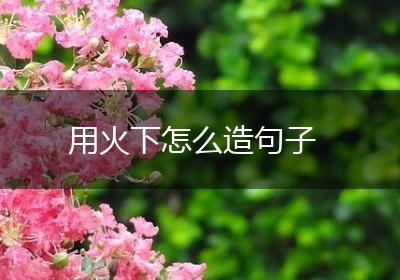 用火下怎么造句子