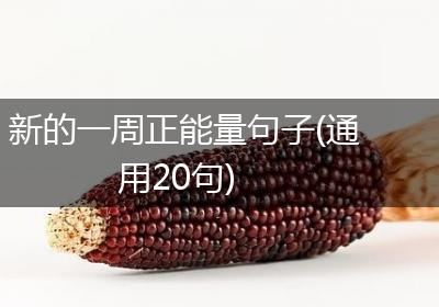 新的一周正能量句子(通用20句)