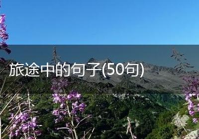旅途中的句子(50句)