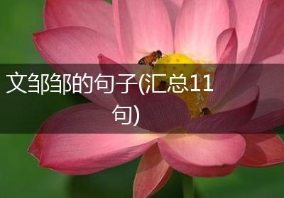 文邹邹的句子(汇总11句)