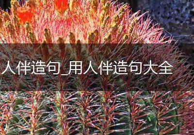 人伴造句_用人伴造句大全