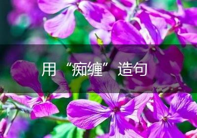 用“痴缠”造句