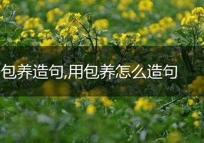 包养造句,用包养怎么造句