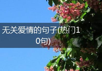 无关爱情的句子(热门10句)