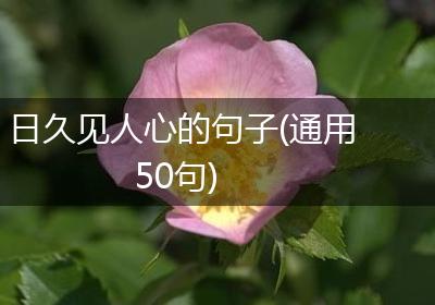 日久见人心的句子(通用50句)