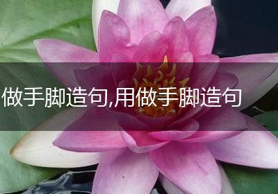 做手脚造句,用做手脚造句