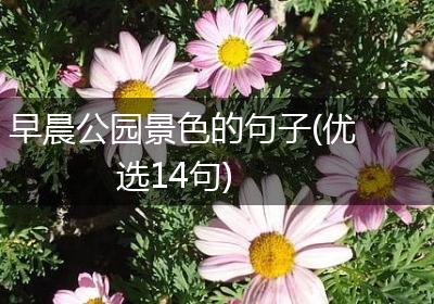 早晨公园景色的句子(优选14句)