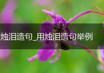 烛泪造句_用烛泪造句举例
