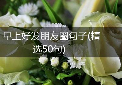 早上好发朋友圈句子(精选50句)