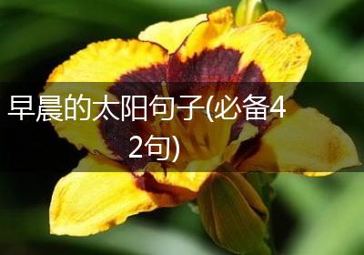 早晨的太阳句子(必备42句)