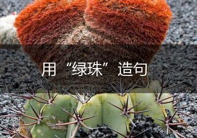 用“绿珠”造句