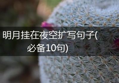 明月挂在夜空扩写句子(必备10句)