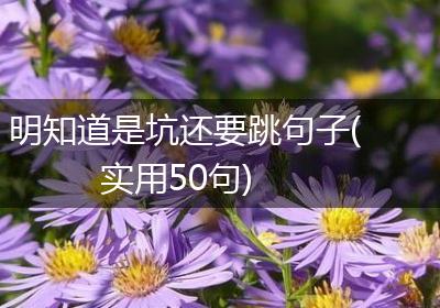 明知道是坑还要跳句子(实用50句)