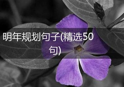 明年规划句子(精选50句)
