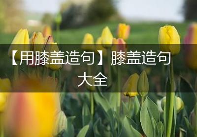 【用膝盖造句】膝盖造句大全