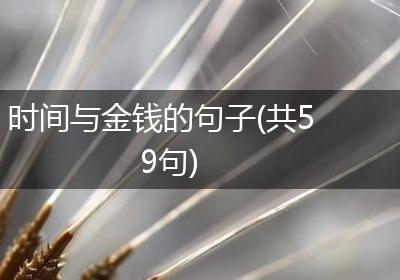 时间与金钱的句子(共59句)