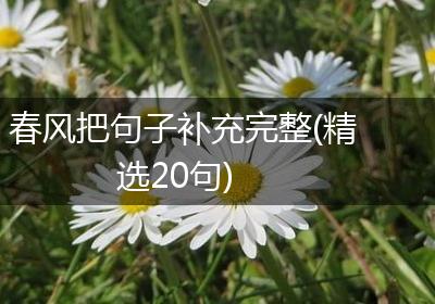 春风把句子补充完整(精选20句)