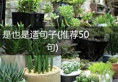 是也是造句子(推荐50句)