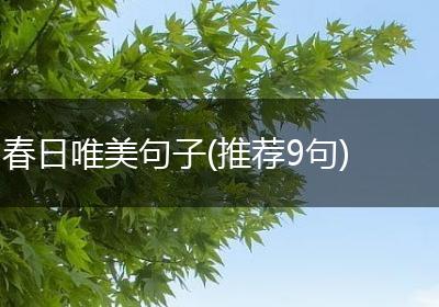 春日唯美句子(推荐9句)