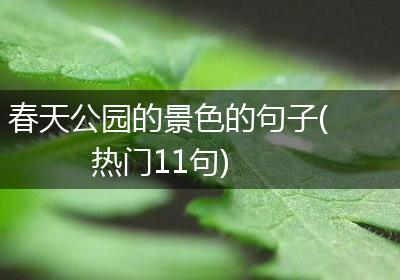 春天公园的景色的句子(热门11句)
