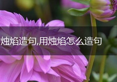 烛焰造句,用烛焰怎么造句