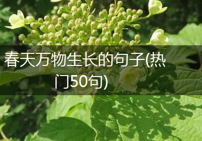 春天万物生长的句子(热门50句)