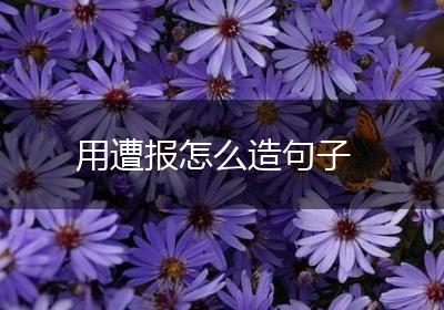 用遭报怎么造句子