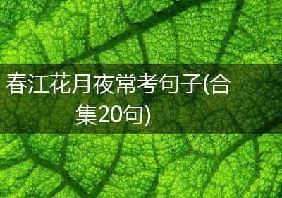 春江花月夜常考句子(合集20句)